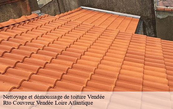 Nettoyage et démoussage de toiture 85 Vendée Rto Couvreur Vendée Loire Atlantique -10