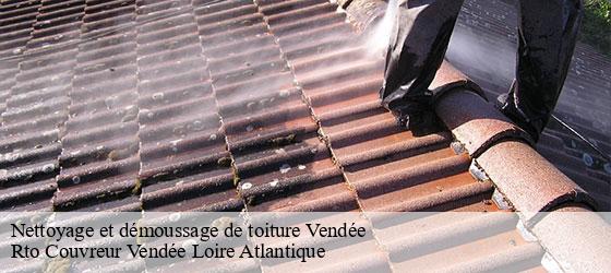 Nettoyage et démoussage de toiture 85 Vendée Rto Couvreur Vendée Loire Atlantique -4