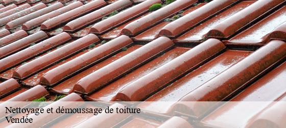 Nettoyage et démoussage de toiture 85 Vendée Rto Couvreur Vendée Loire Atlantique -5