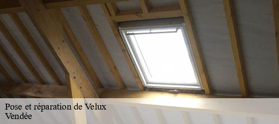 Pose et réparation de Velux 85 Vendée Rto Couvreur Vendée Loire Atlantique -2