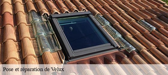 Pose et réparation de Velux 85 Vendée Rto Couvreur Vendée Loire Atlantique -3