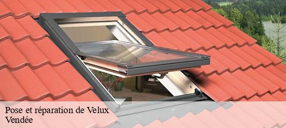 Pose et réparation de Velux 85 Vendée Rto Couvreur Vendée Loire Atlantique -5