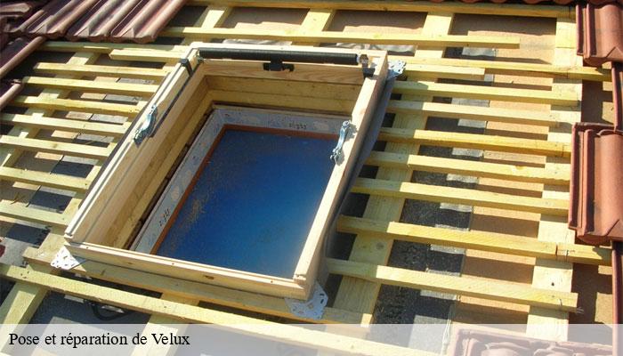 Pose et réparation de Velux 85 Vendée Rto Couvreur Vendée Loire Atlantique -6