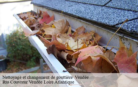 Nettoyage et changement de gouttière  85 Vendée  Rto Couvreur Vendée Loire Atlantique -1