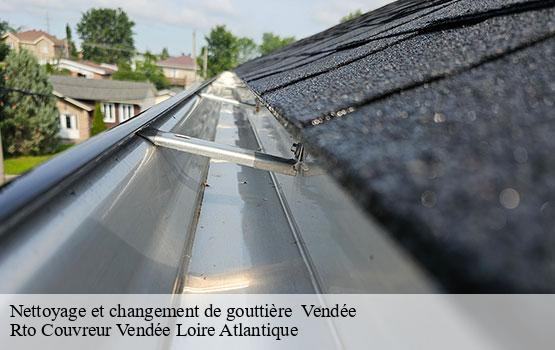 Nettoyage et changement de gouttière  85 Vendée  Rto Couvreur Vendée Loire Atlantique -10