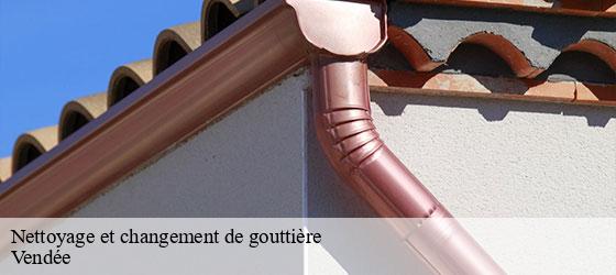 Nettoyage et changement de gouttière  85 Vendée  Rto Couvreur Vendée Loire Atlantique -2