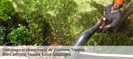 Nettoyage et changement de gouttière  85 Vendée  Rto Couvreur Vendée Loire Atlantique -4