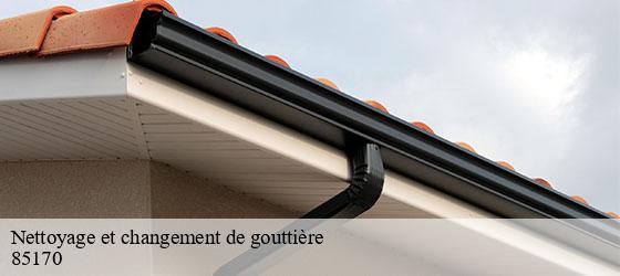 Nettoyage et changement de gouttière beaufou-85170 Rto Couvreur Vendée Loire Atlantique -5