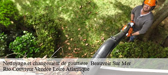 Nettoyage et changement de gouttière   beauvoir-sur-mer-85230 Rto Couvreur Vendée Loire Atlantique -4