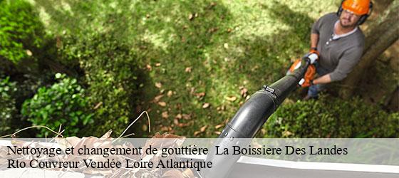 Nettoyage et changement de gouttière   la-boissiere-des-landes-85430 Rto Couvreur Vendée Loire Atlantique -4