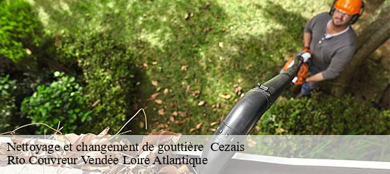 Nettoyage et changement de gouttière   cezais-85410 Rto Couvreur Vendée Loire Atlantique -4