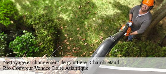 Nettoyage et changement de gouttière   chambretaud-85500 Rto Couvreur Vendée Loire Atlantique -4