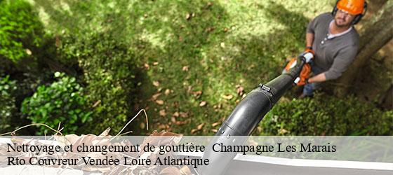 Nettoyage et changement de gouttière   champagne-les-marais-85450 Rto Couvreur Vendée Loire Atlantique -4