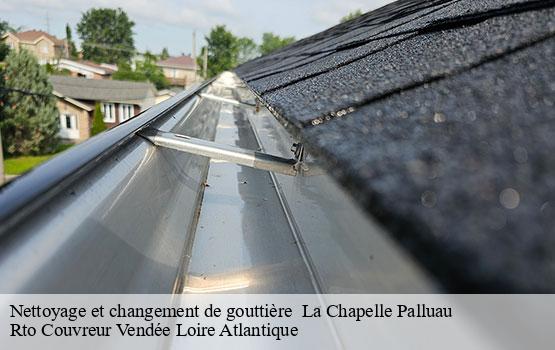 Nettoyage et changement de gouttière   la-chapelle-palluau-85670 Rto Couvreur Vendée Loire Atlantique -10