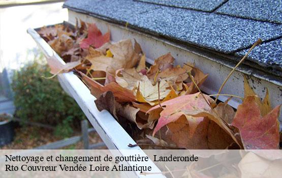 Nettoyage et changement de gouttière   landeronde-85150 Rto Couvreur Vendée Loire Atlantique -1