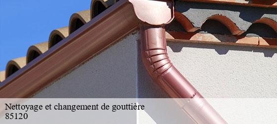 Nettoyage et changement de gouttière   loge-fougereuse-85120 Rto Couvreur Vendée Loire Atlantique -2