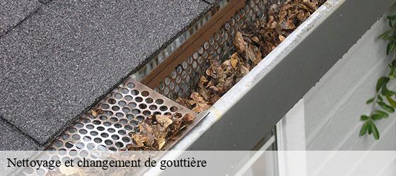 Nettoyage et changement de gouttière   loge-fougereuse-85120 Rto Couvreur Vendée Loire Atlantique -3