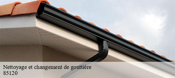 Nettoyage et changement de gouttière   loge-fougereuse-85120 Rto Couvreur Vendée Loire Atlantique -5