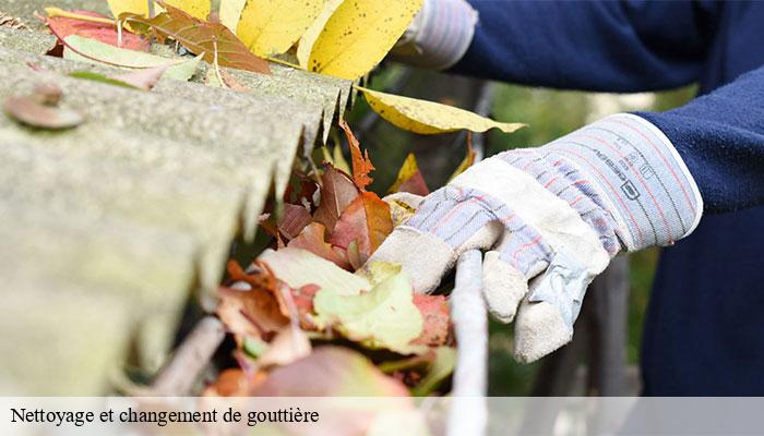 Nettoyage et changement de gouttière   loge-fougereuse-85120 Rto Couvreur Vendée Loire Atlantique -6