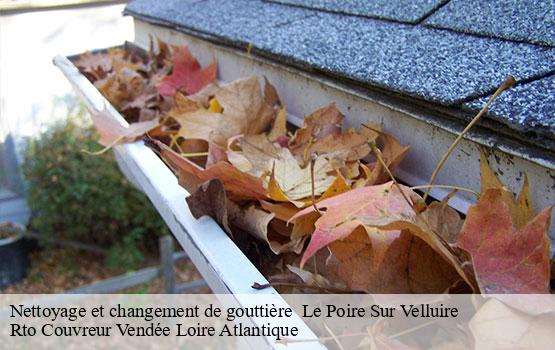 Nettoyage et changement de gouttière le-poire-sur-velluire-85770 Rto Couvreur Vendée Loire Atlantique -1