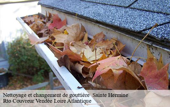 Nettoyage et changement de gouttière   sainte-hermine-85210 Rto Couvreur Vendée Loire Atlantique -1