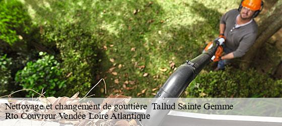 Nettoyage et changement de gouttière   tallud-sainte-gemme-85390 Rto Couvreur Vendée Loire Atlantique -4
