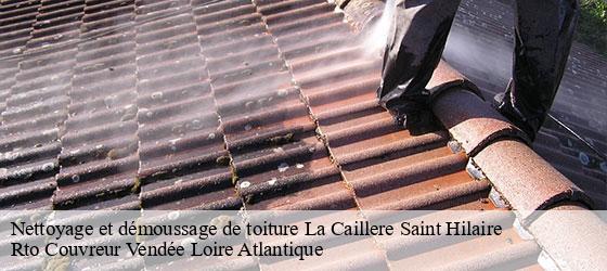 Nettoyage et démoussage de toiture  la-caillere-saint-hilaire-85410 Rto Couvreur Vendée Loire Atlantique -4