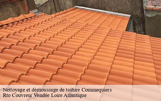 Nettoyage et démoussage de toiture  commequiers-85220 Rto Couvreur Vendée Loire Atlantique -10