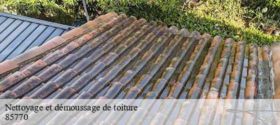 Nettoyage et démoussage de toiture  l-ile-d-elle-85770 Rto Couvreur Vendée Loire Atlantique -2