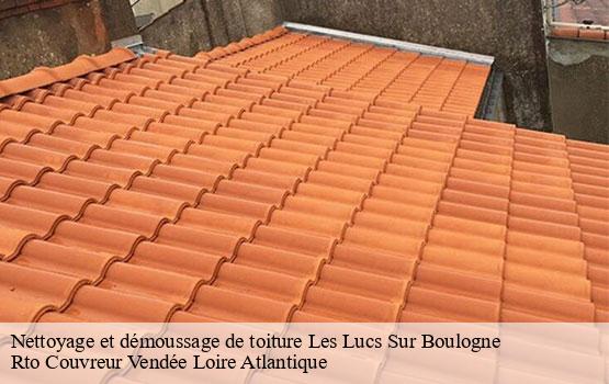 Nettoyage et démoussage de toiture  les-lucs-sur-boulogne-85170 Rto Couvreur Vendée Loire Atlantique -10