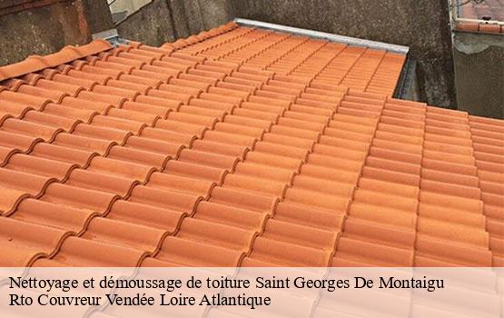Nettoyage et démoussage de toiture  saint-georges-de-montaigu-85600 Rto Couvreur Vendée Loire Atlantique -10
