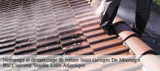 Nettoyage et démoussage de toiture  saint-georges-de-montaigu-85600 Rto Couvreur Vendée Loire Atlantique -4