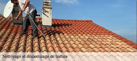 Nettoyage et démoussage de toiture  saint-julien-des-landes-85150 Rto Couvreur Vendée Loire Atlantique -3