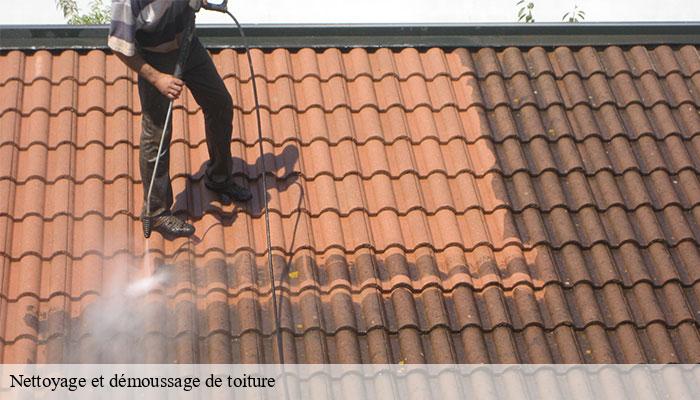 Nettoyage et démoussage de toiture  saint-julien-des-landes-85150 Rto Couvreur Vendée Loire Atlantique -6