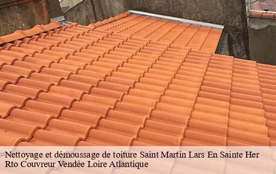 Nettoyage et démoussage de toiture saint-martin-lars-en-sainte-her-85210 Rto Couvreur Vendée Loire Atlantique -10