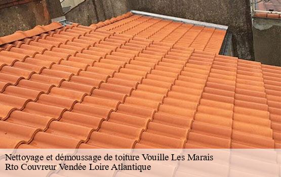 Nettoyage et démoussage de toiture  vouille-les-marais-85450 Rto Couvreur Vendée Loire Atlantique -10