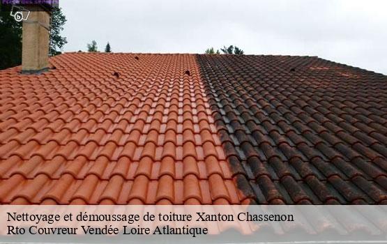 Nettoyage et démoussage de toiture xanton-chassenon-85240 Rto Couvreur Vendée Loire Atlantique -1