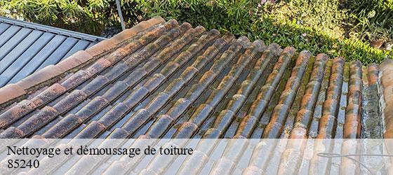 Nettoyage et démoussage de toiture xanton-chassenon-85240 Rto Couvreur Vendée Loire Atlantique -2