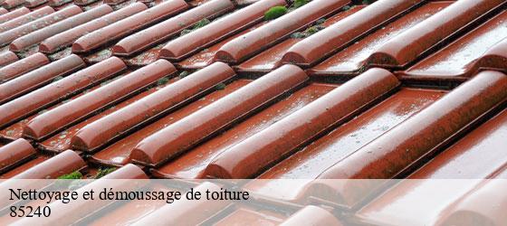 Nettoyage et démoussage de toiture xanton-chassenon-85240 Rto Couvreur Vendée Loire Atlantique -5