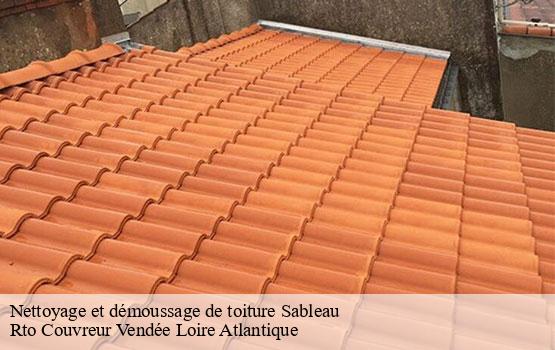 Nettoyage et démoussage de toiture  sableau-85450 Rto Couvreur Vendée Loire Atlantique -10