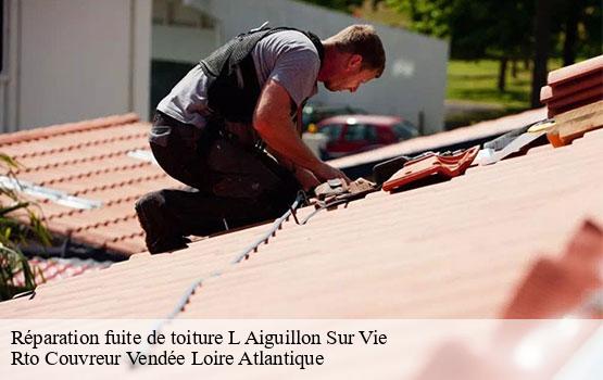 Réparation fuite de toiture  l-aiguillon-sur-vie-85220 Rto Couvreur Vendée Loire Atlantique -10