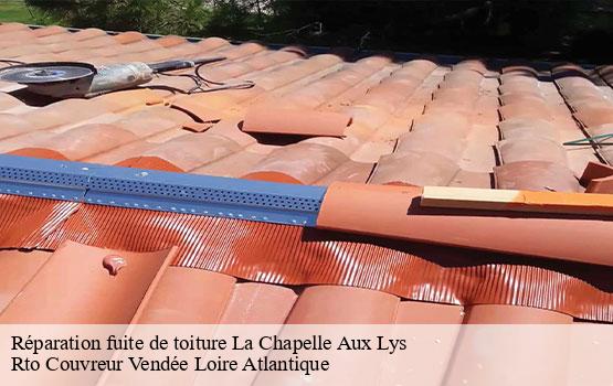 Réparation fuite de toiture  la-chapelle-aux-lys-85120 Rto Couvreur Vendée Loire Atlantique -1