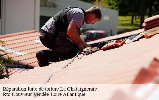 Réparation fuite de toiture la-chataigneraie-85120 Rto Couvreur Vendée Loire Atlantique -10