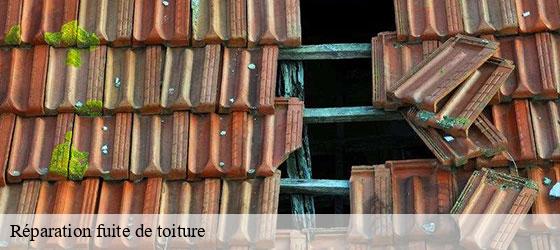 Réparation fuite de toiture  fontaines-85200 Rto Couvreur Vendée Loire Atlantique -3