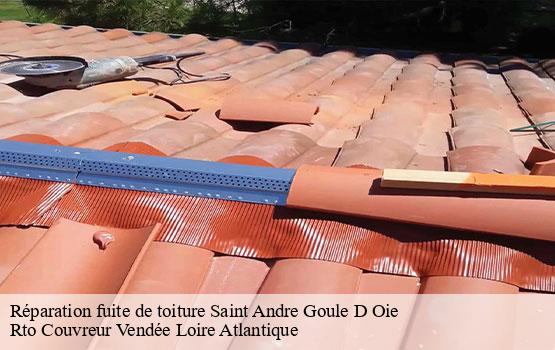 Réparation fuite de toiture  saint-andre-goule-d-oie-85250 Rto Couvreur Vendée Loire Atlantique -1