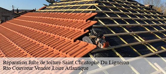 Réparation fuite de toiture  saint-christophe-du-ligneron-85670 Rto Couvreur Vendée Loire Atlantique -4