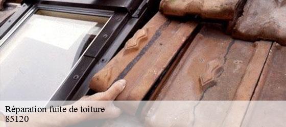 Réparation fuite de toiture  vouvant-85120 Rto Couvreur Vendée Loire Atlantique -5