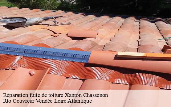 Réparation fuite de toiture  xanton-chassenon-85240 Rto Couvreur Vendée Loire Atlantique -1