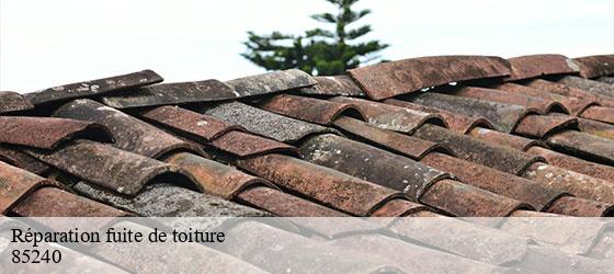 Réparation fuite de toiture  xanton-chassenon-85240 Rto Couvreur Vendée Loire Atlantique -2