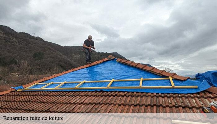 Réparation fuite de toiture  xanton-chassenon-85240 Rto Couvreur Vendée Loire Atlantique -6